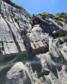 20260618_141149.jpg