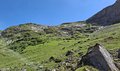 20260618_143322.jpg