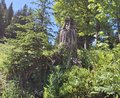 20260618_155558.jpg