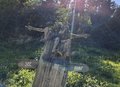 20260618_155643.jpg