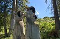 20260618_163427.jpg