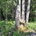 20260618_163433.jpg