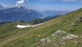 20260619_105536.jpg