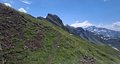 20260619_111843.jpg