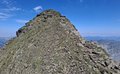 20260619_115443.jpg