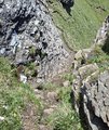 20260619_120247.jpg