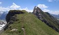 20260619_120707.jpg