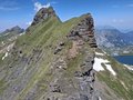 20260619_122317.jpg
