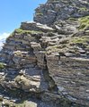 20260619_131746.jpg