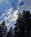 20260619_164512.jpg